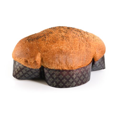 Colomba salata Bubalus