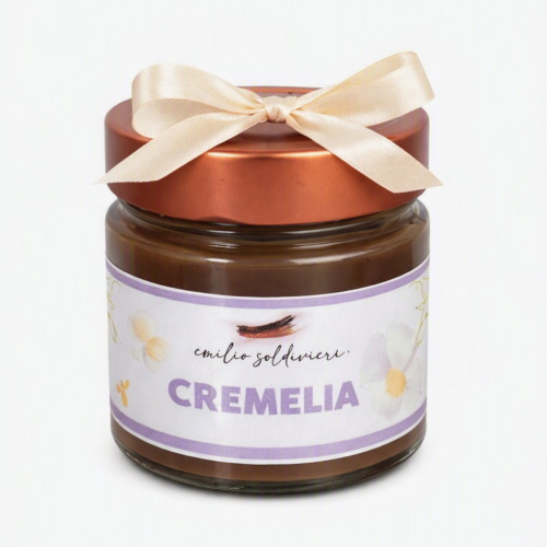 10 mini creme spalmabili da 100 g
